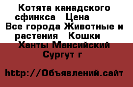 Котята канадского сфинкса › Цена ­ 15 - Все города Животные и растения » Кошки   . Ханты-Мансийский,Сургут г.